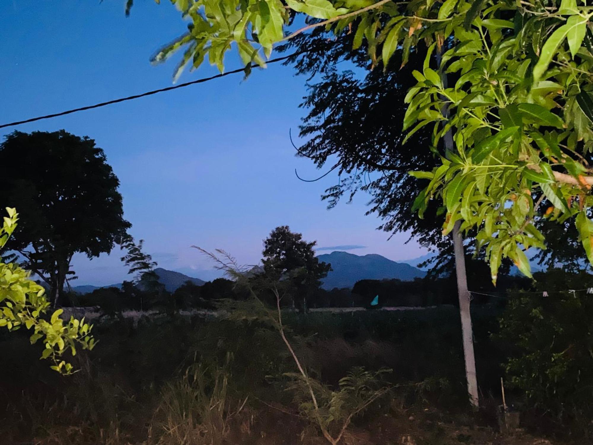 Fairview Dill Homestay 시기리야 외부 사진