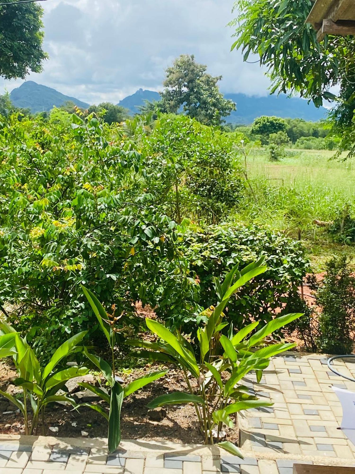 Fairview Dill Homestay 시기리야 외부 사진
