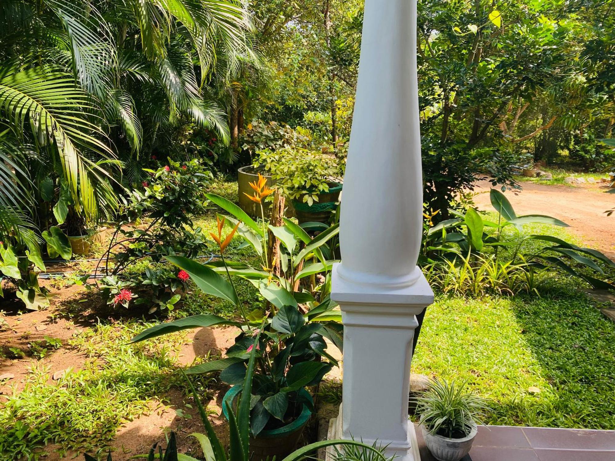 Fairview Dill Homestay 시기리야 외부 사진